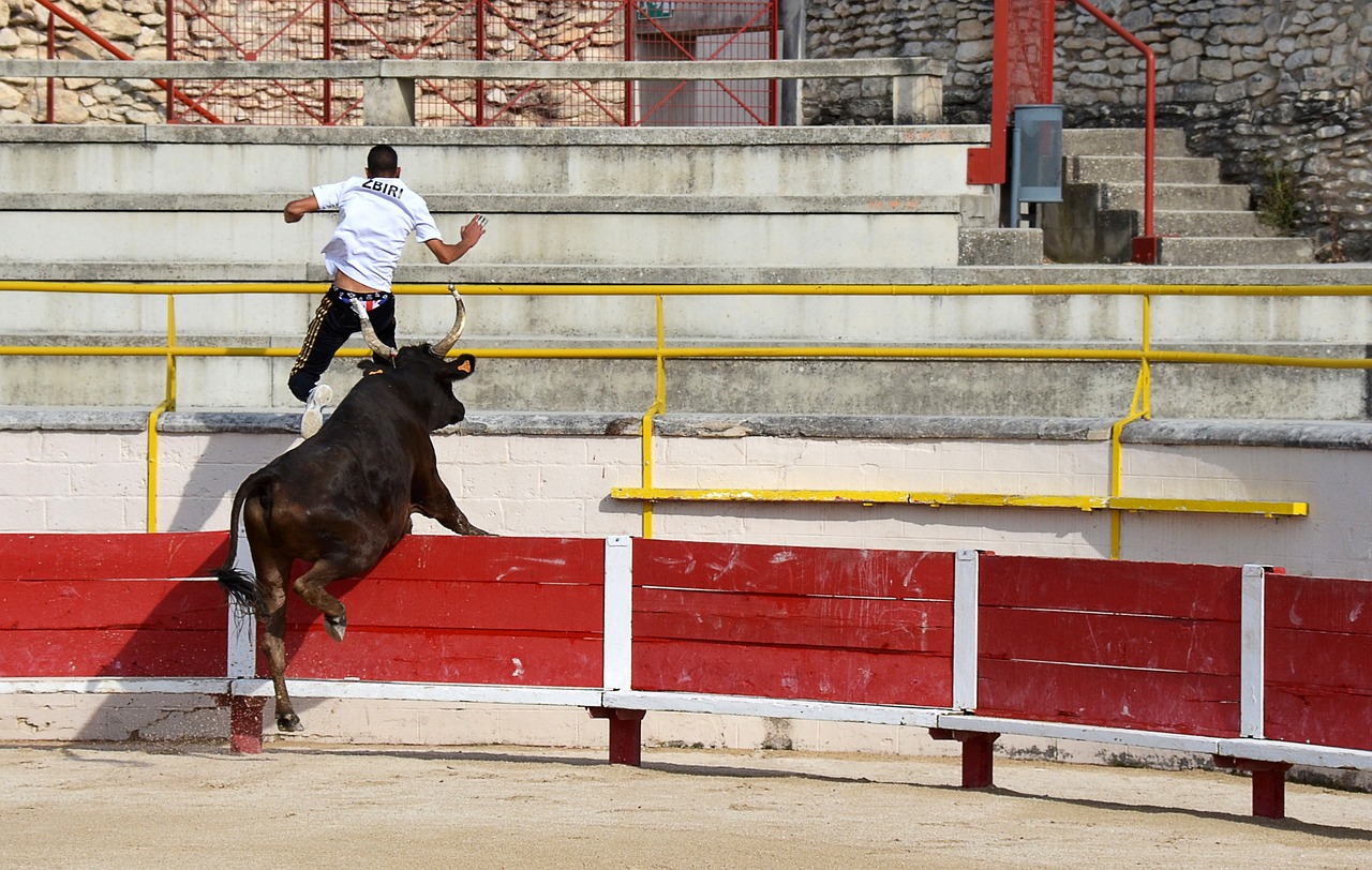 不少