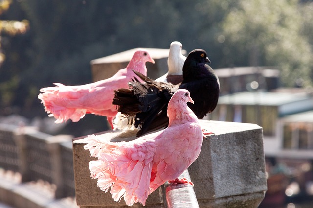 們的潛力被 們的潛力被