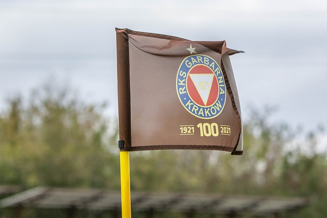 爱德华兹的 爱德华兹的