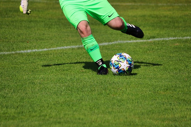 花的表现 花的表现