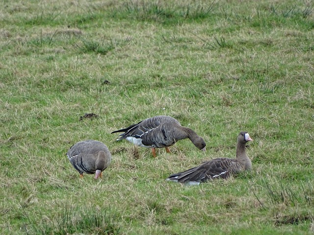 起注意的案 起注意的案