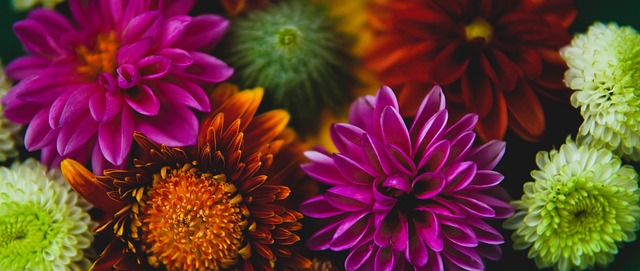 形成了新集 形成了新集