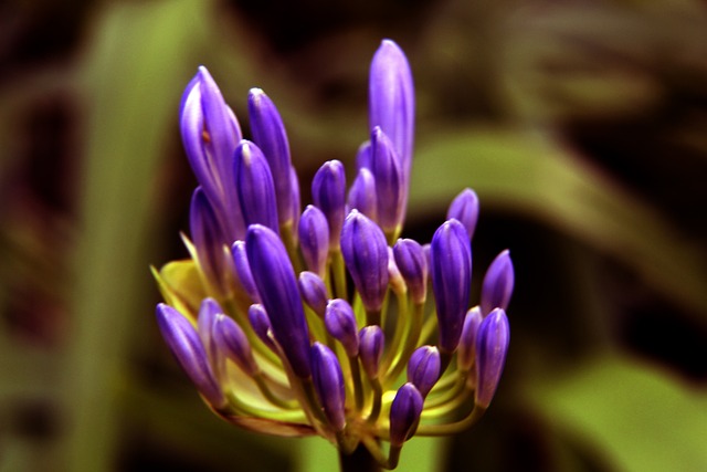 数字支付的 数字支付的